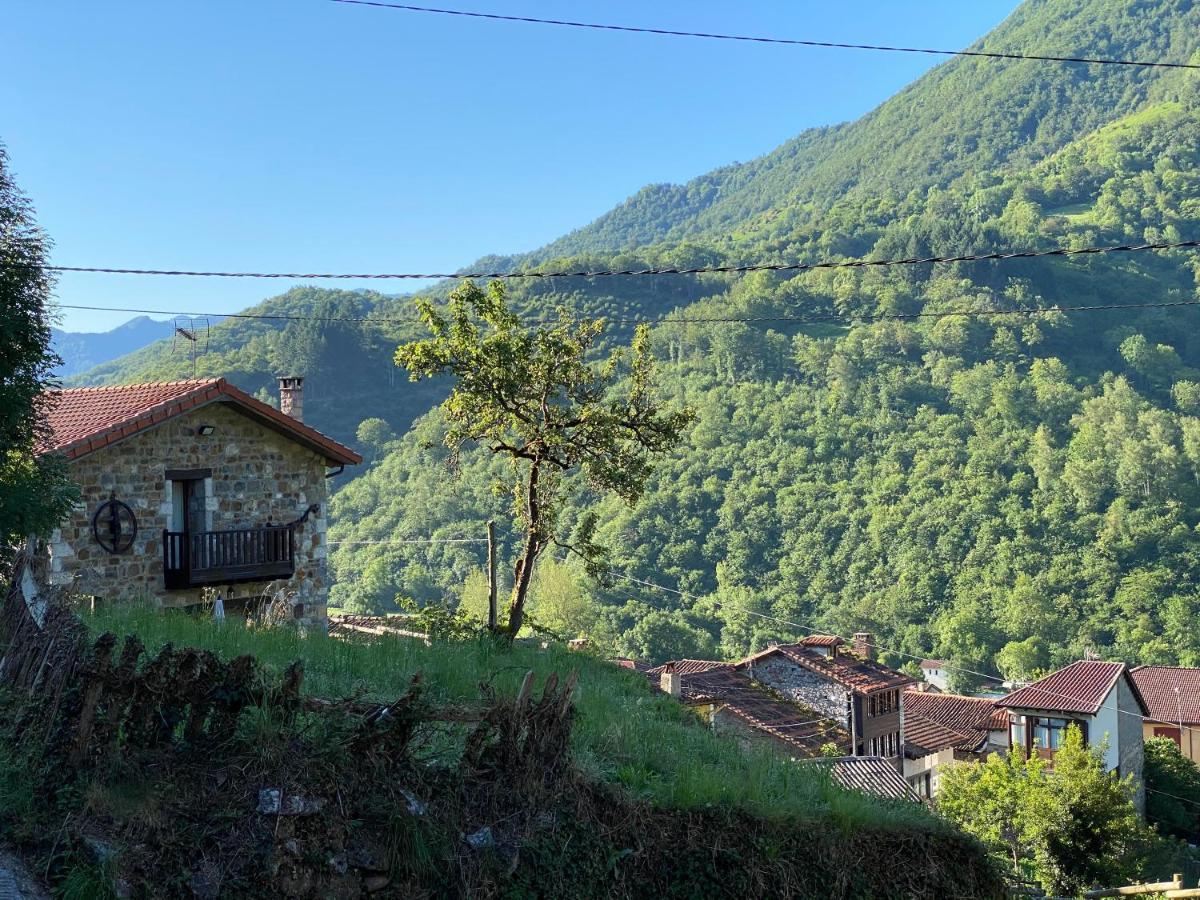Penzion Llar De Cosme Caso Exteriér fotografie